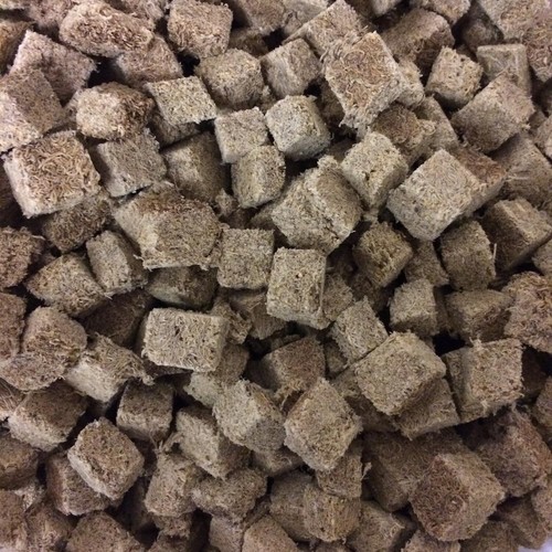 Tubifex worms cubes - tubifex,
