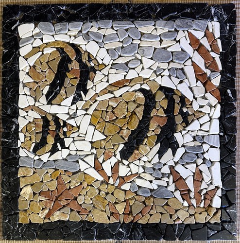 Pesci discus rosone - discus, mosaico