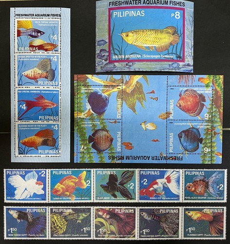 Timbri pesci acquario