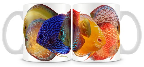 Tazza pesce disco acquario
