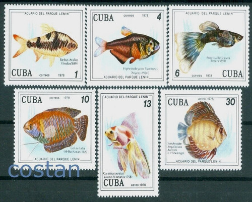 Pesce acquario 1978 - pesce, arulius