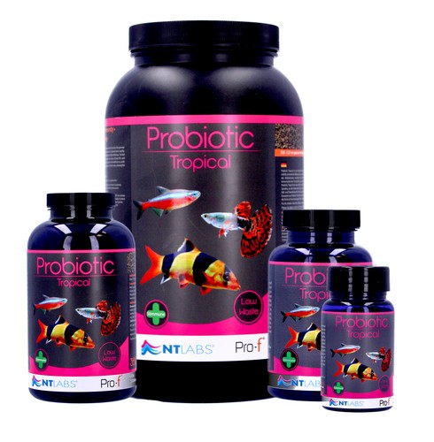 Labs pro probiotico - nt,