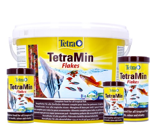 Tetra tetramina - tetra,