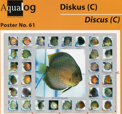 Aqualog fold poster the most - aqualog,
