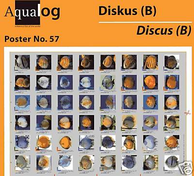 Aqualog fold poster - aqualog, most