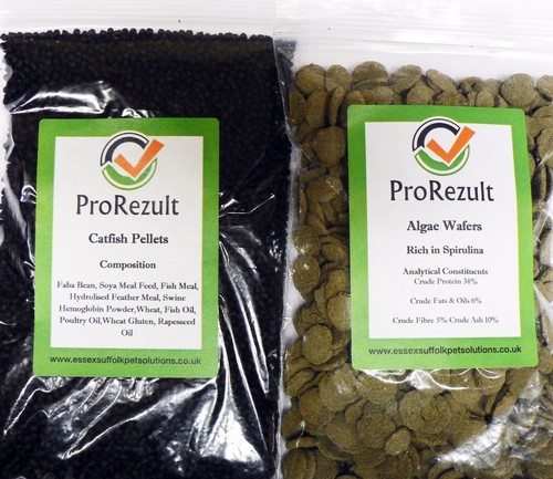 Prorezult cialde alghe - di, e