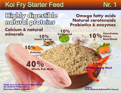 Alimento per friggere - , pesci