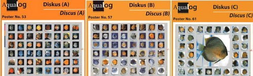 Aqualog poster pieghevoli - 3,