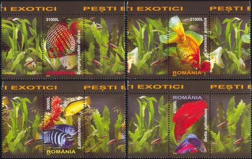 Romania 2005 pesci - romania,