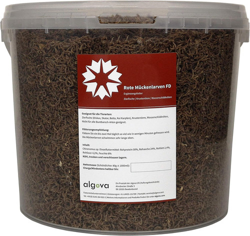 Red mosquito larvae - red,