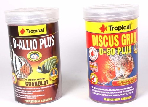 Tropical discus allio - tropical,