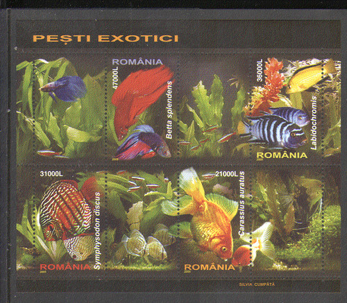 Romania 2005 pesce - 2005,