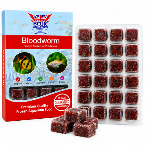 Bcuk frozen bloodworm - bloodworm, alimento