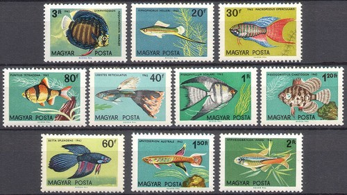 Ungheria 1962 pesce - 1962,