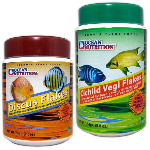 Ciclide nutrizione oceanica - ciclide,