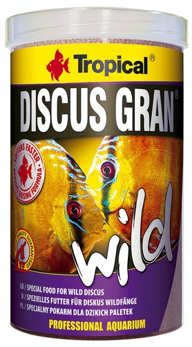 250 tropical wild discus - tropical,