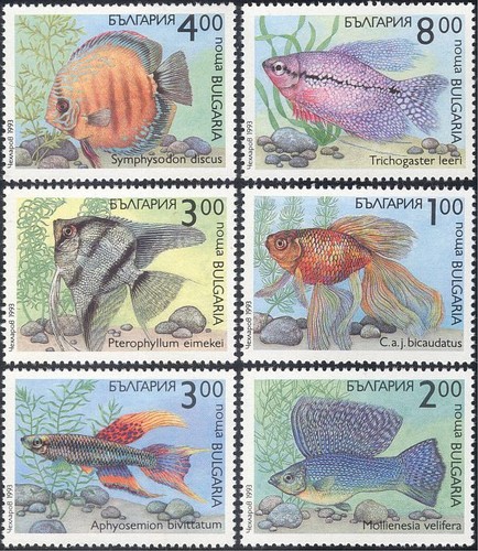Bulgaria 1993 pesce - bulgaria,