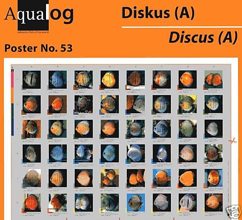 Aqualog fold poster the most - fold,