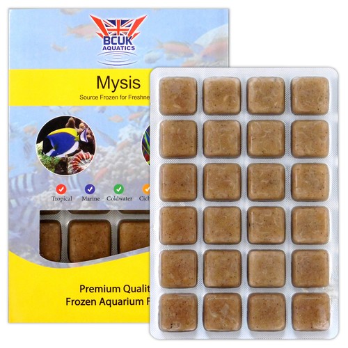 Bcuk frozen mysis alimento - mysis,